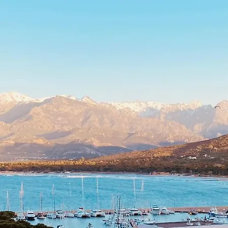 Appartamento Farniente Et Douceur En Plein Centre De Calvi (Corsica)