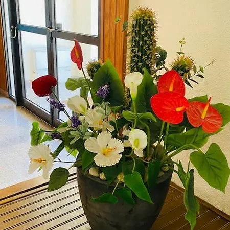 Farniente Et Douceur En Plein Centre De Appartamento