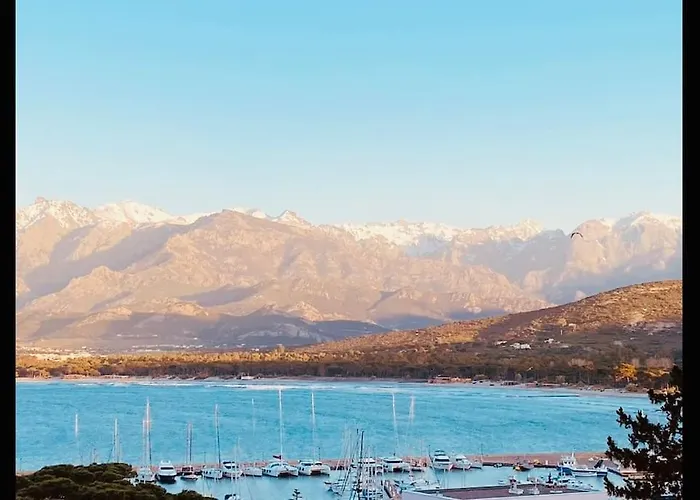 Διαμέρισμα Farniente Et Douceur En Plein Centre De Καλβί