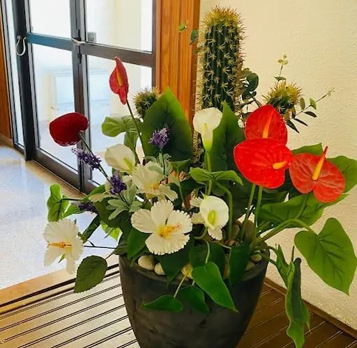 Farniente Et Douceur En Plein Centre De Διαμέρισμα